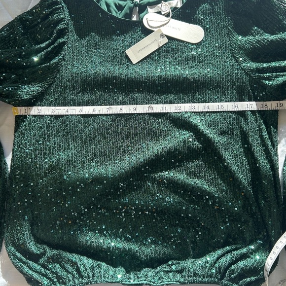 Anthropologie Dark Green Sequin Blouse - Picture 9 of 13